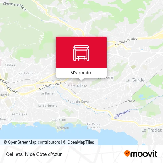 Oeillets plan