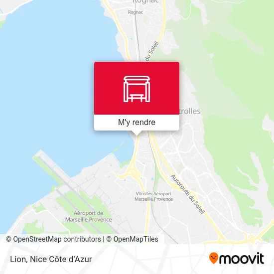 Lion plan