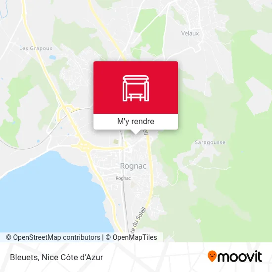 Bleuets plan