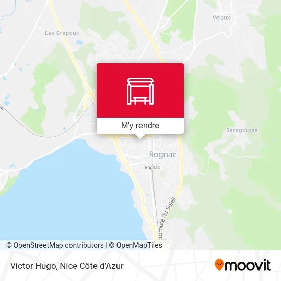 Victor Hugo plan