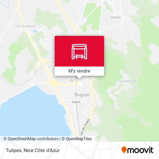 Tulipes plan