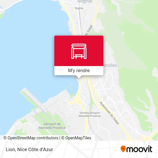 Lion plan