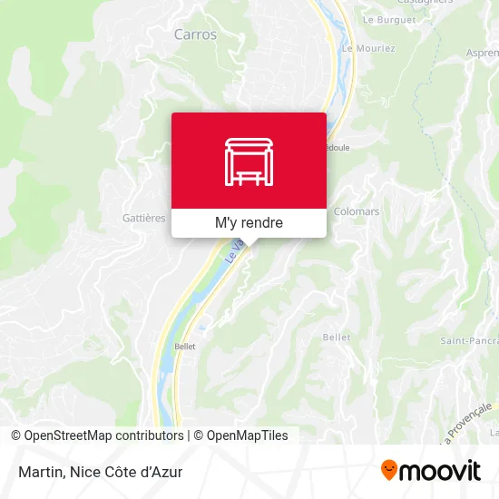 Martin plan