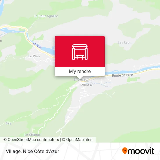 Village plan