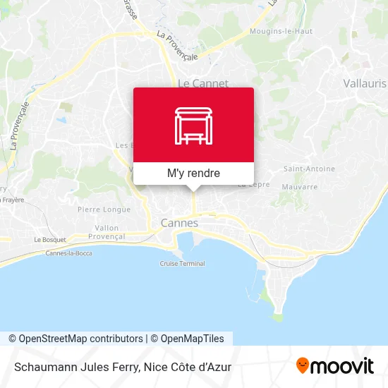 Schaumann Jules Ferry plan