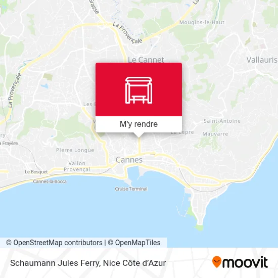 Schaumann Jules Ferry plan