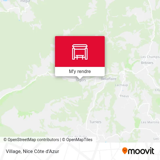 Village plan