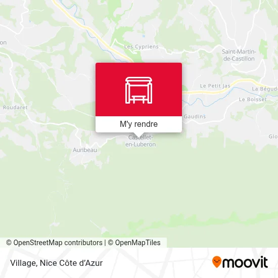 Village plan