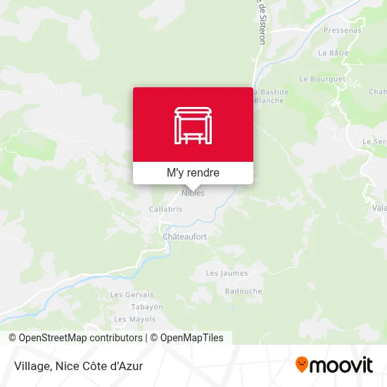 Village plan