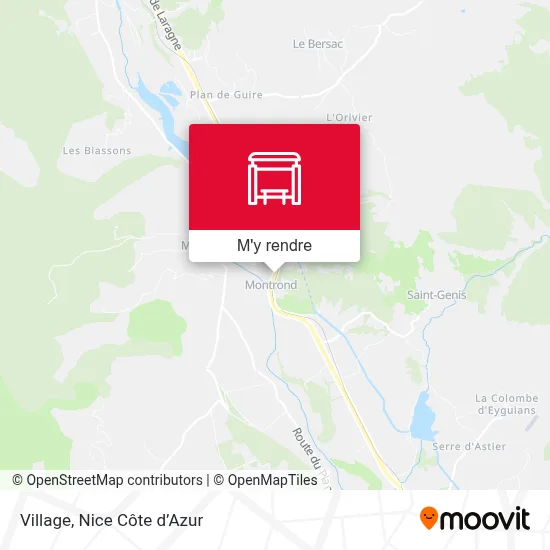 Village plan