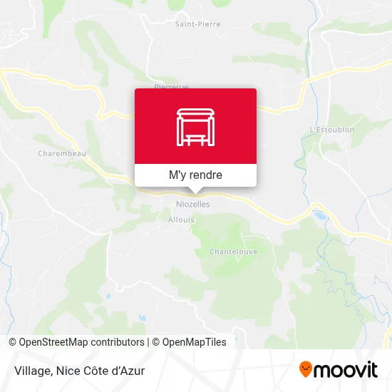 Village plan