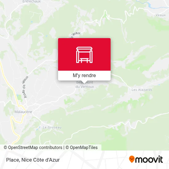 Place plan