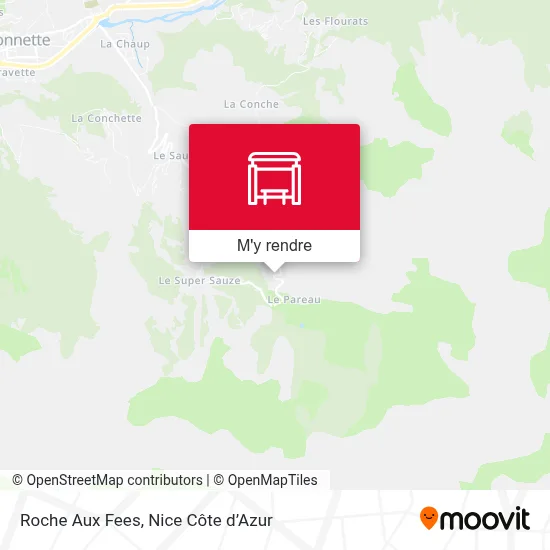 Roche Aux Fees plan