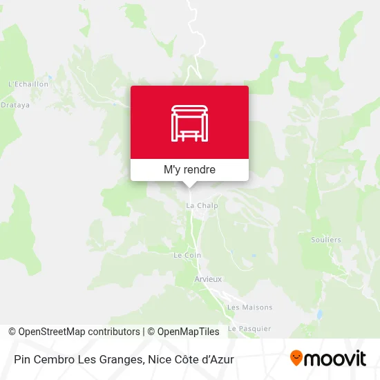Pin Cembro Les Granges plan