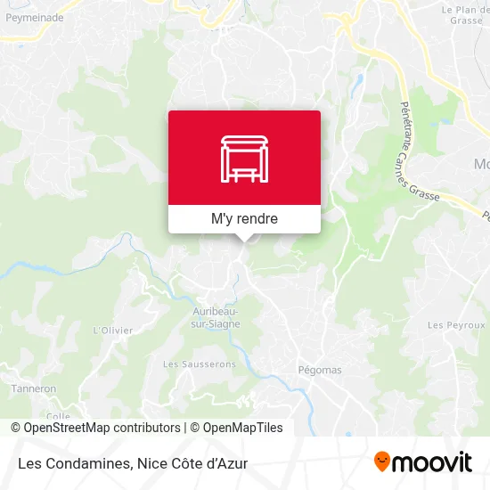 Les Condamines plan