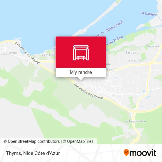 Thyms plan