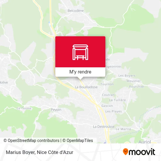 Marius Boyer plan