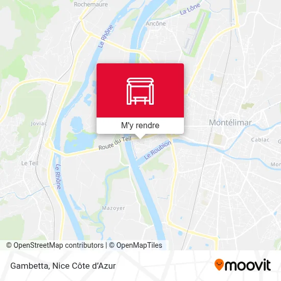 Gambetta plan