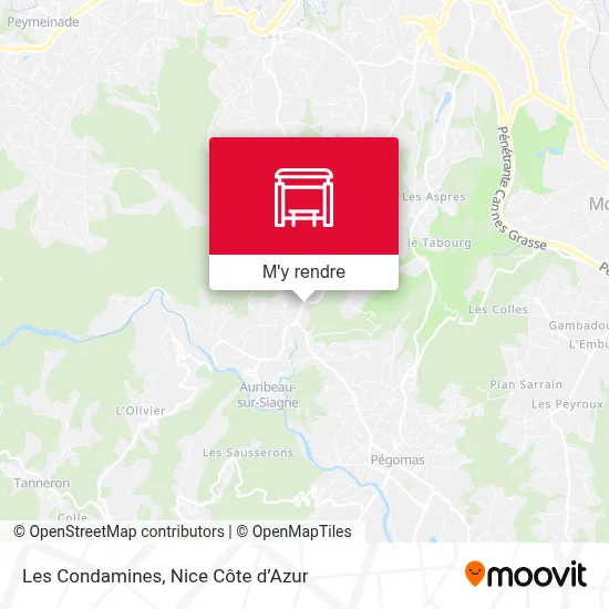 Les Condamines plan