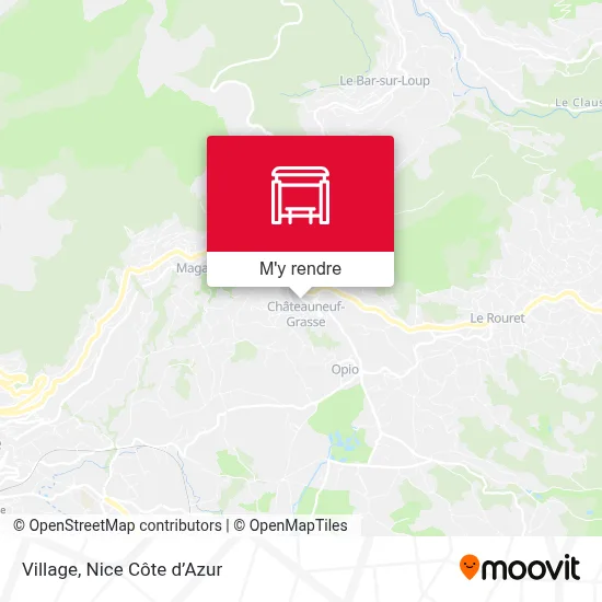 Village plan