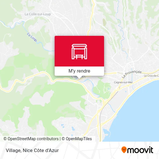 Village plan