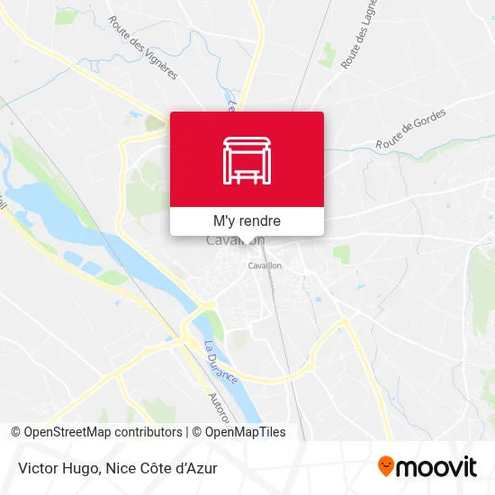 Victor Hugo plan