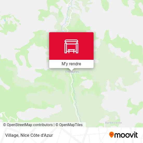 Village plan