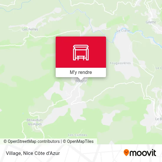 Village plan