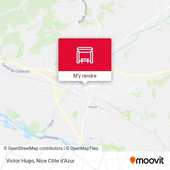 Victor Hugo plan