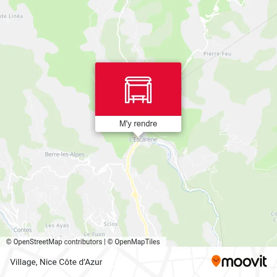 Village plan
