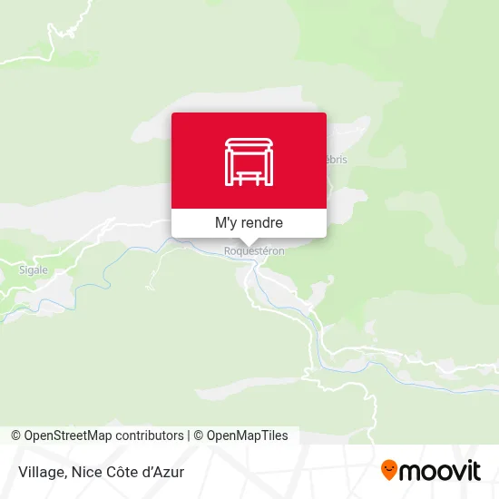 Village plan
