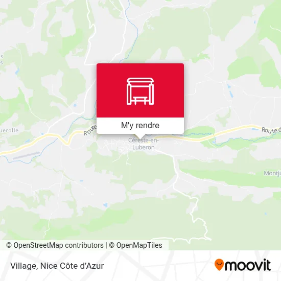 Village plan