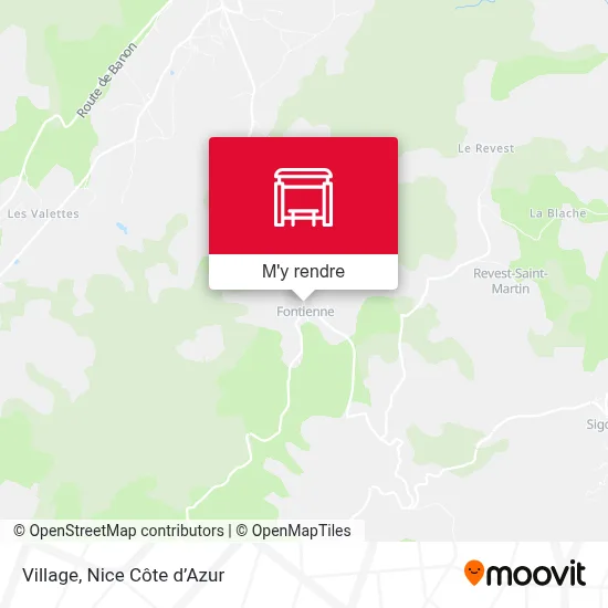 Village plan