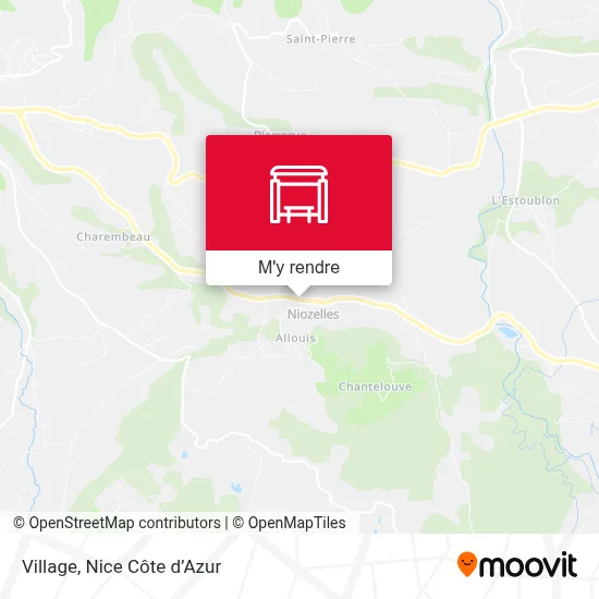 Village plan