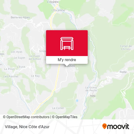Village plan