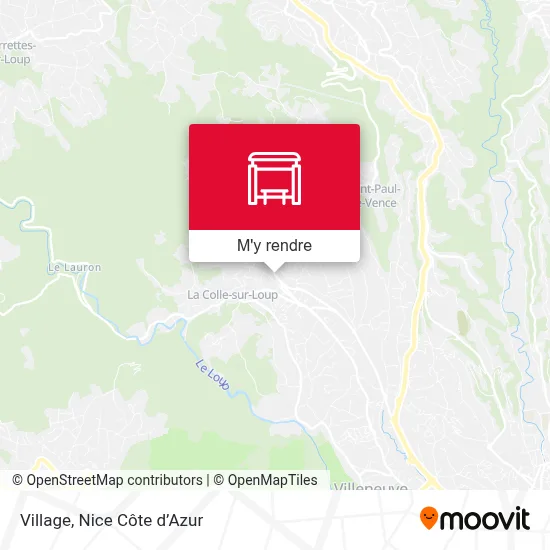 Village plan