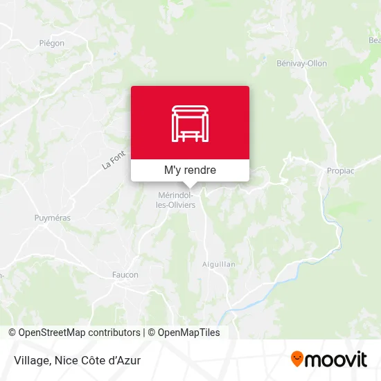 Village plan