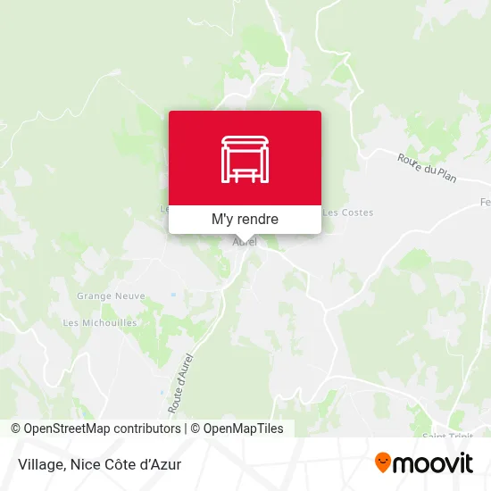 Village plan