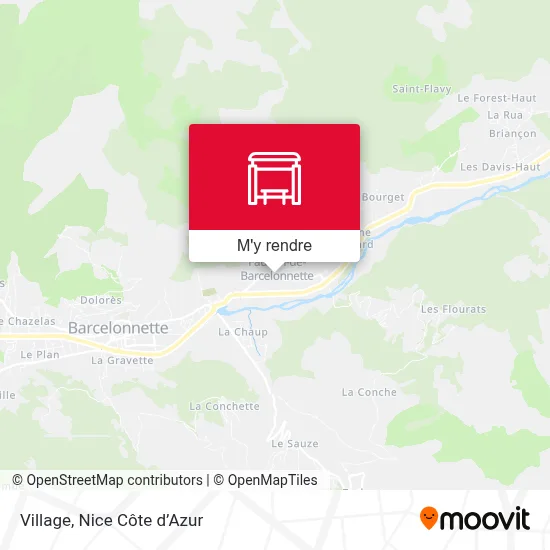 Village plan