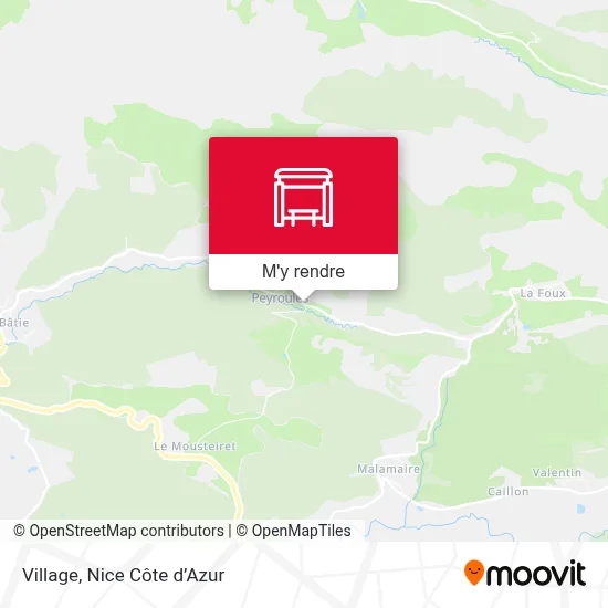 Village plan