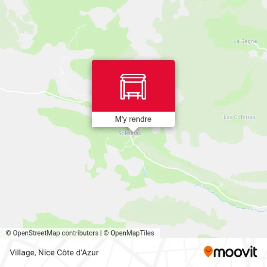 Village plan