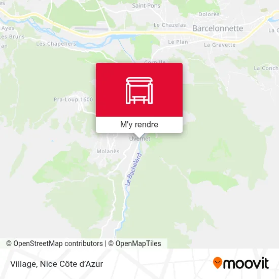 Village plan