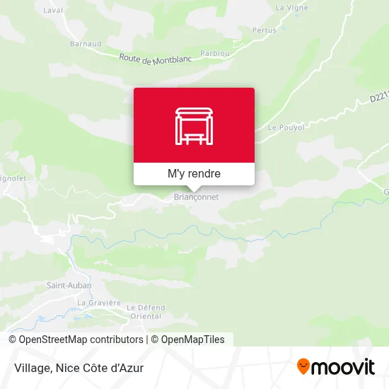 Village plan