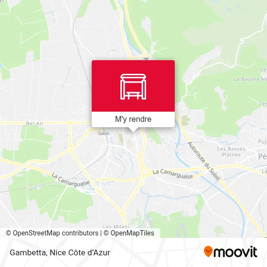 Gambetta plan