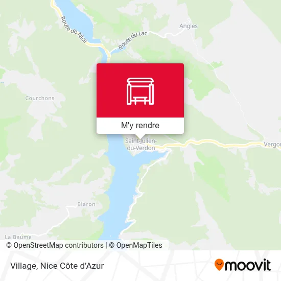 Village plan
