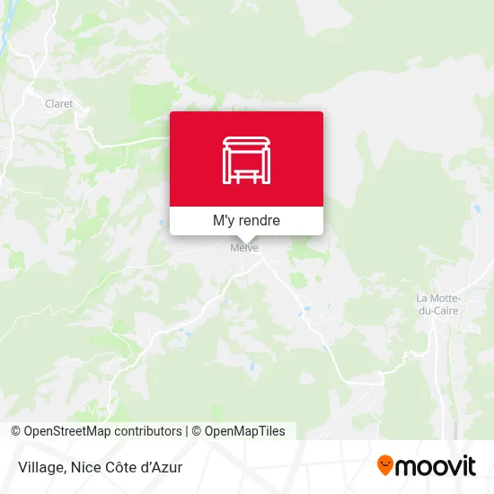 Village plan