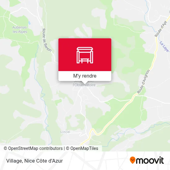 Village plan