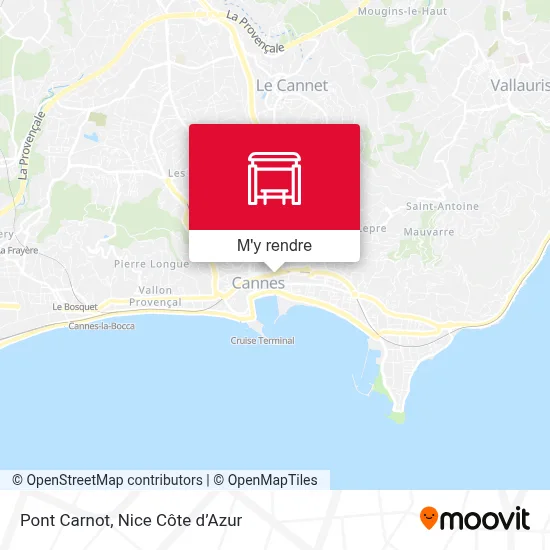 Pont Carnot plan
