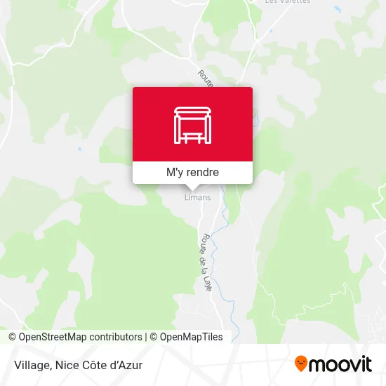 Village plan