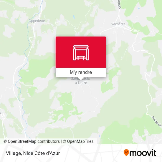 Village plan